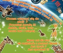 Pozytwynie zakręcona firma Kamix