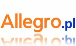Allegro.pl – hity sprzedaży II kwartału roku