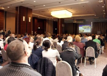 Cobi prezentuje nowości na II półrocze