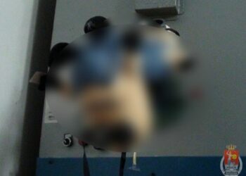 4 tysiące podrobionych Minionków w rękach policji