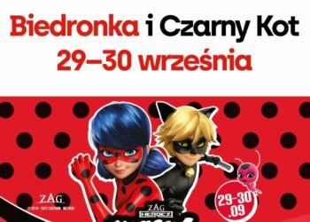 Event Miraculous Biedronka i Czarny Kot w Atrium Targówek